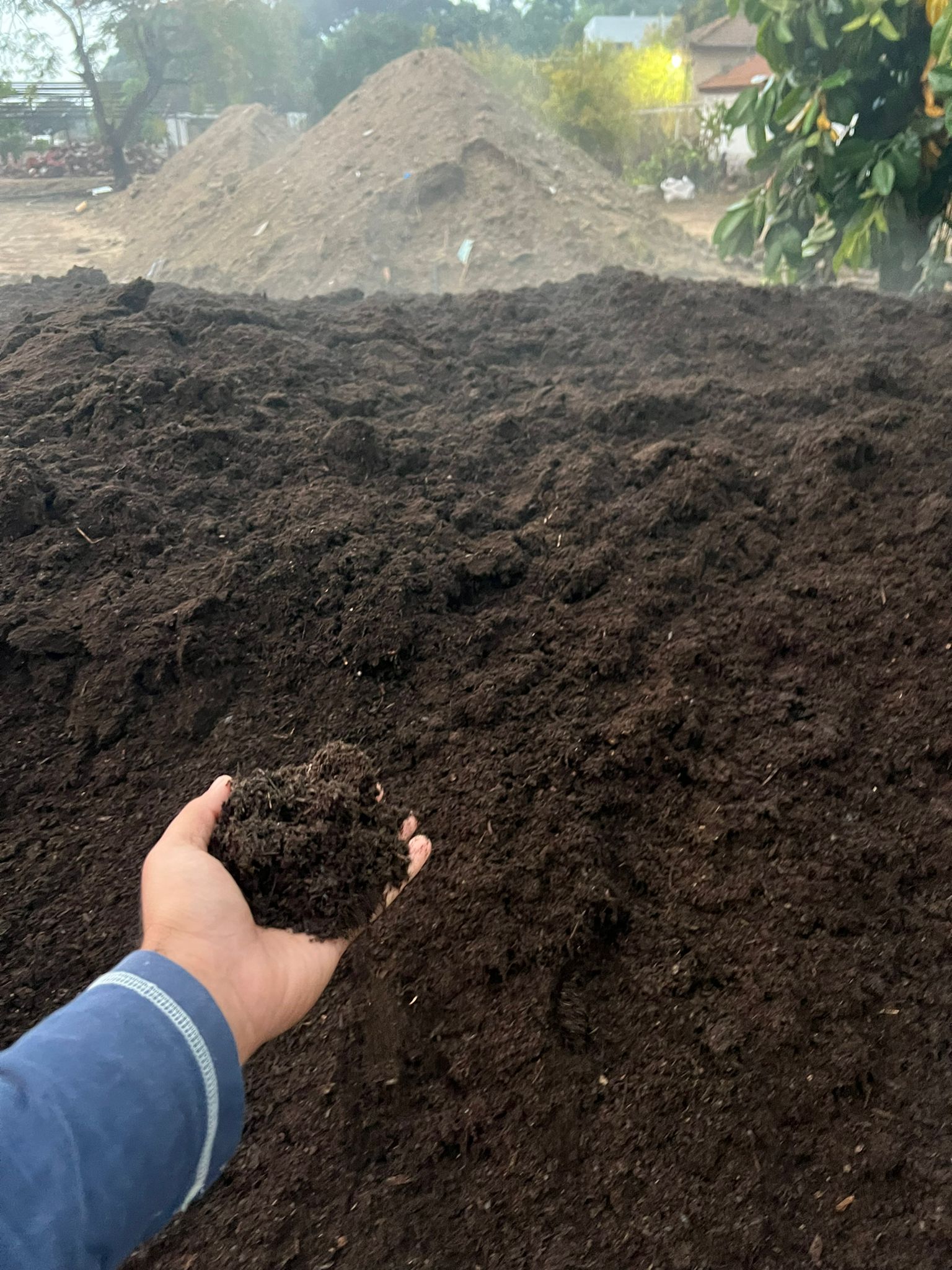 יד מחזיקה חופן אדמה כהה לבדיקת טיב הקרקע