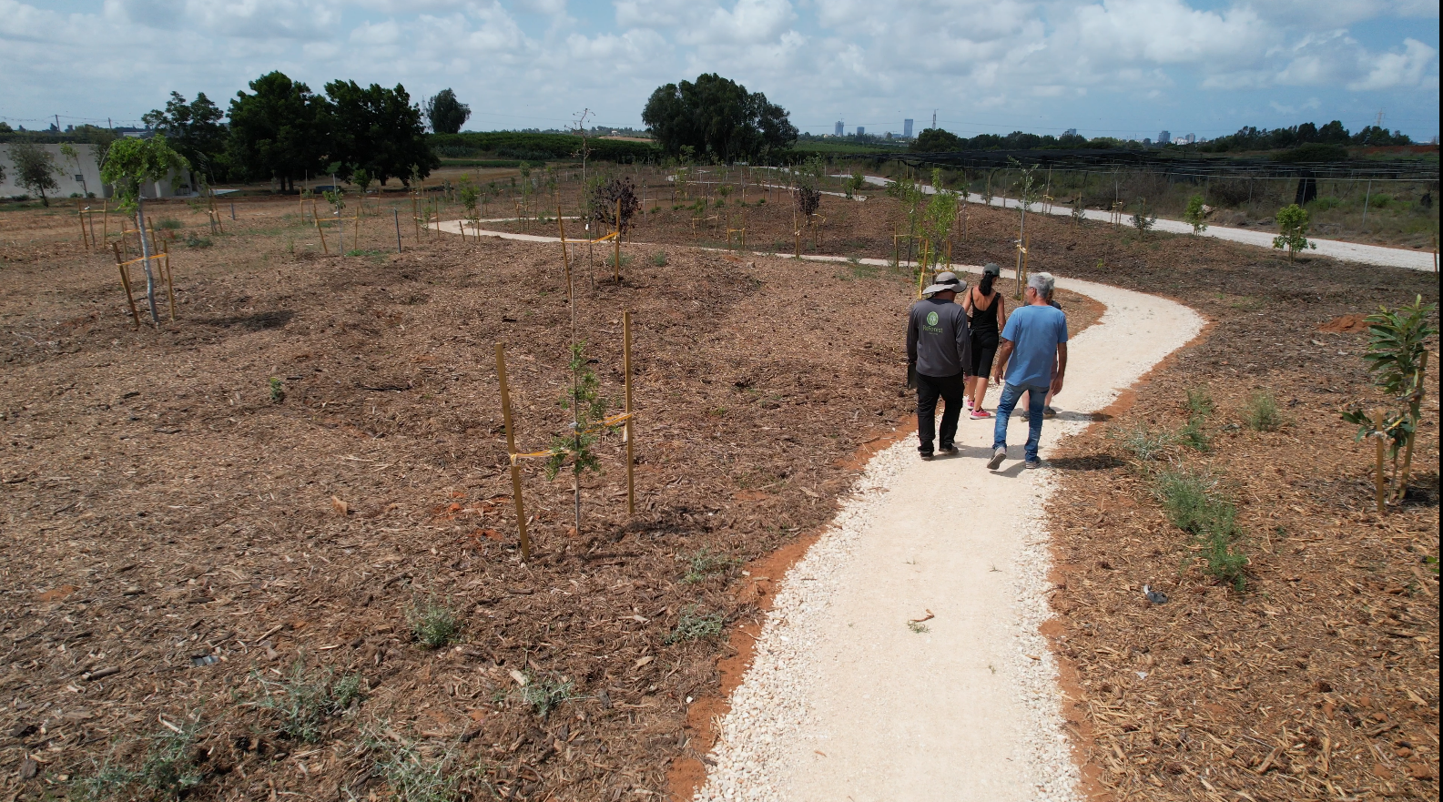 מבקרים מסיירים בין עצים צעירים בפרויקט יער המאכל במשמרת