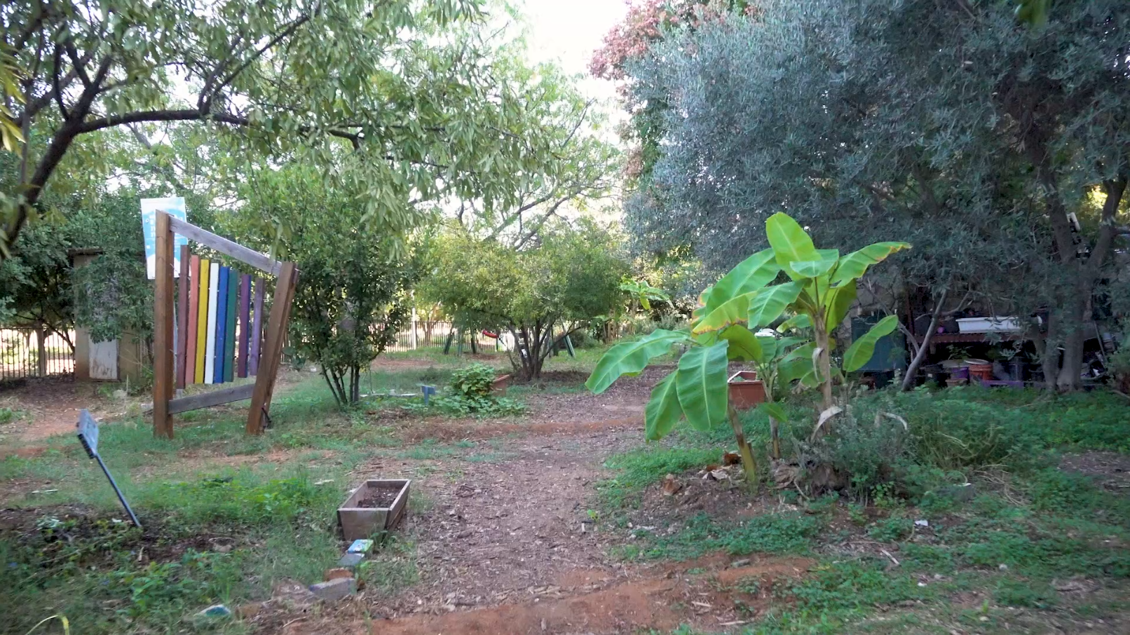 שביל בין עצים וצמחייה ביער מאכל קהילתי