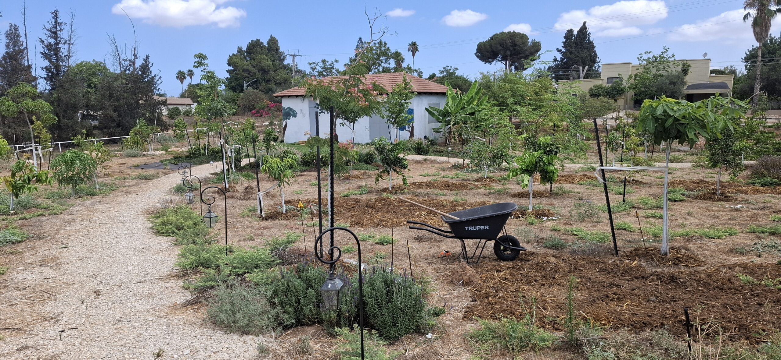 תמונת נוף של בית כפרי עם שביל כורכר מוקף בעצים ושיחים